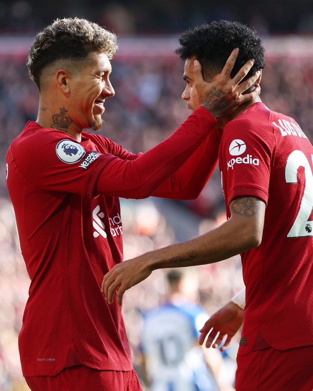 Previous #LIVBHA battles ⏮️📸
