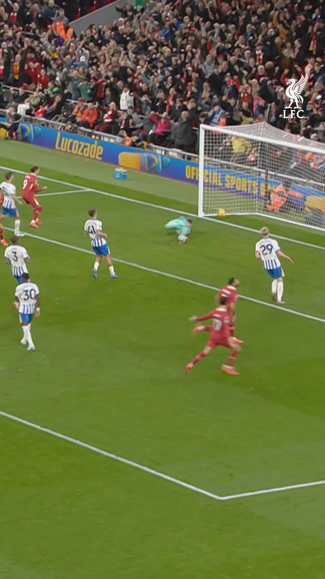 Salah's strike against Brighton back in 2024 😮‍💨🚀 #LIVBRI