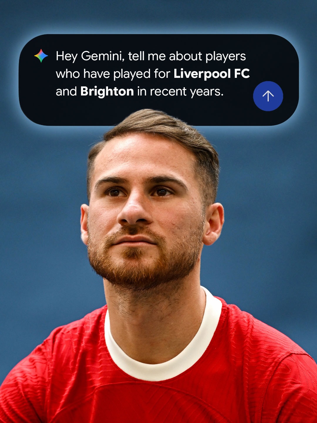 Players who have represented both the Reds and the Seagulls 👀 googlegemini