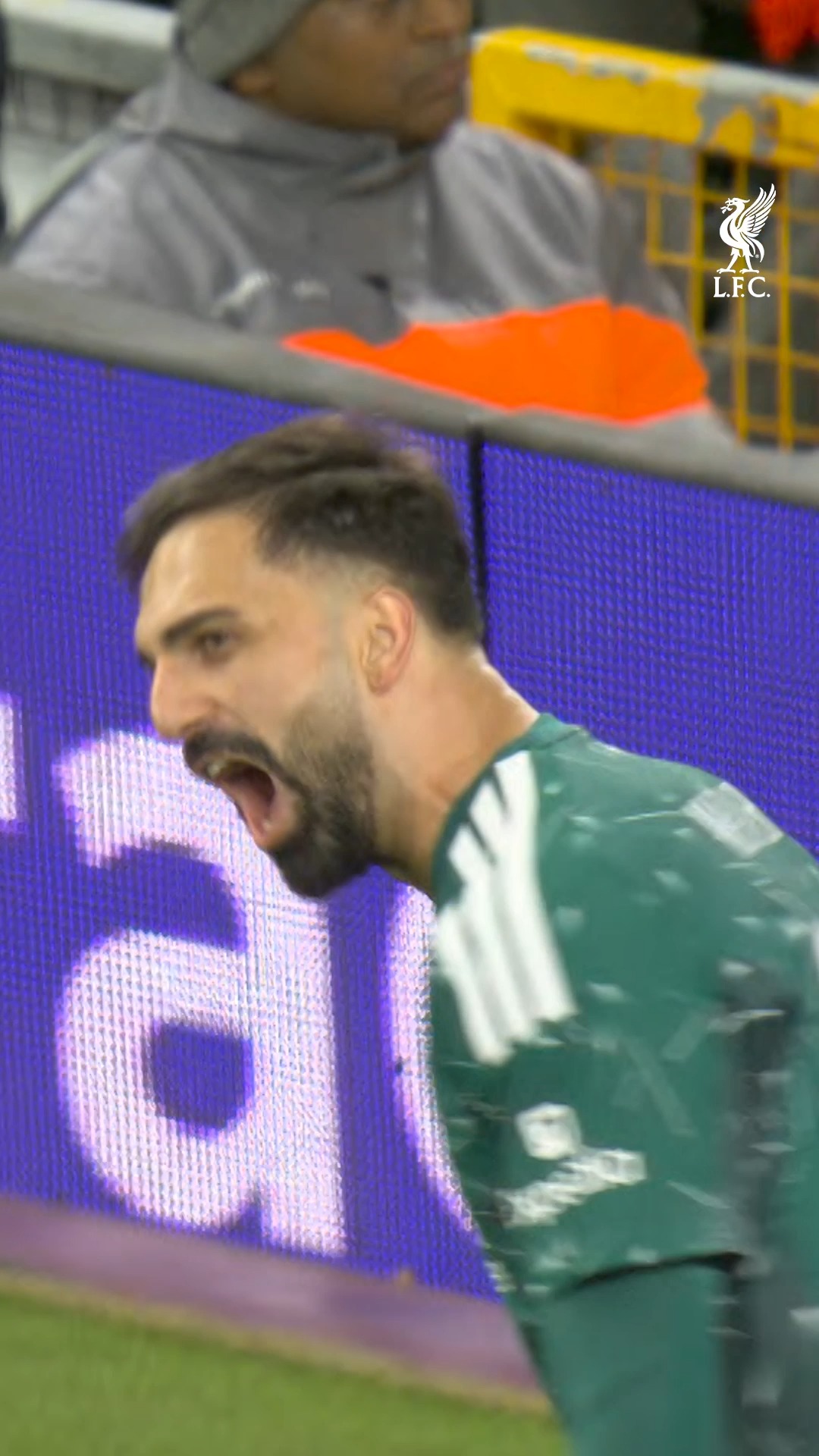 Love it, Giorgi ❌