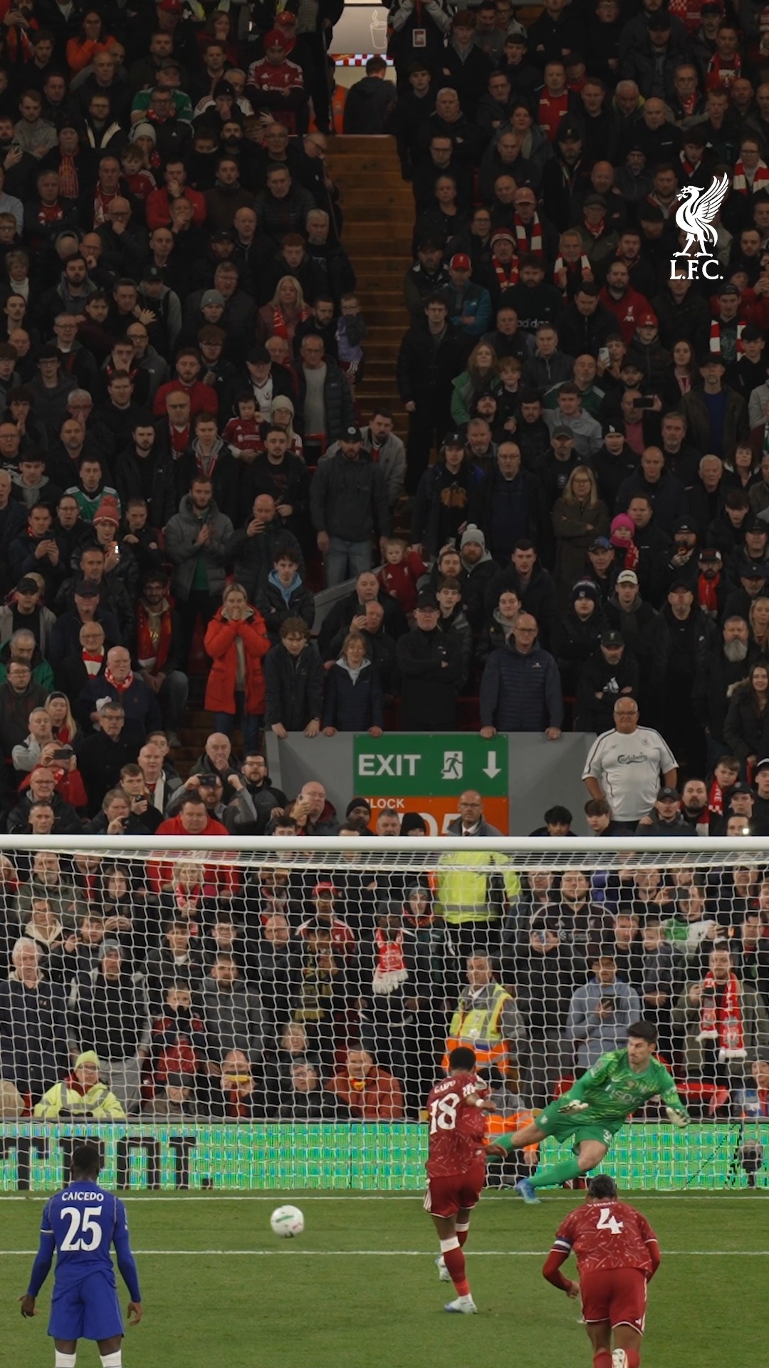 Cody with the leveller 🎯