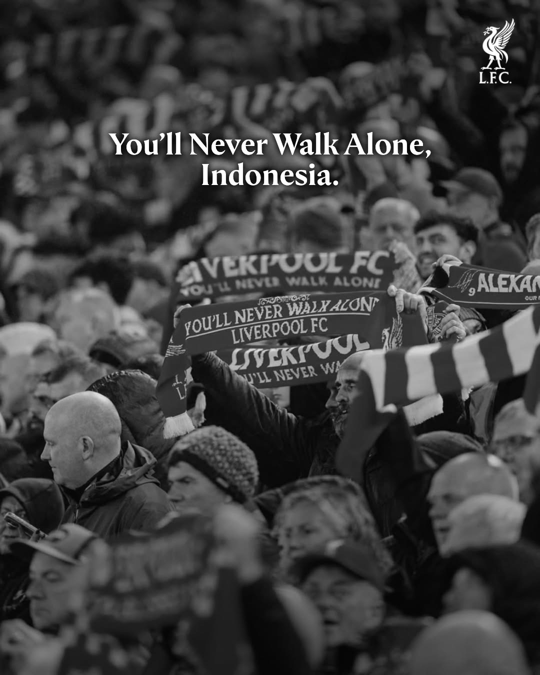 Kami bersamamu, Indonesia. 🇮🇩