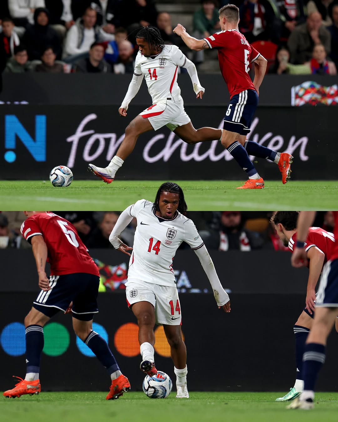 Rio 🦁💫