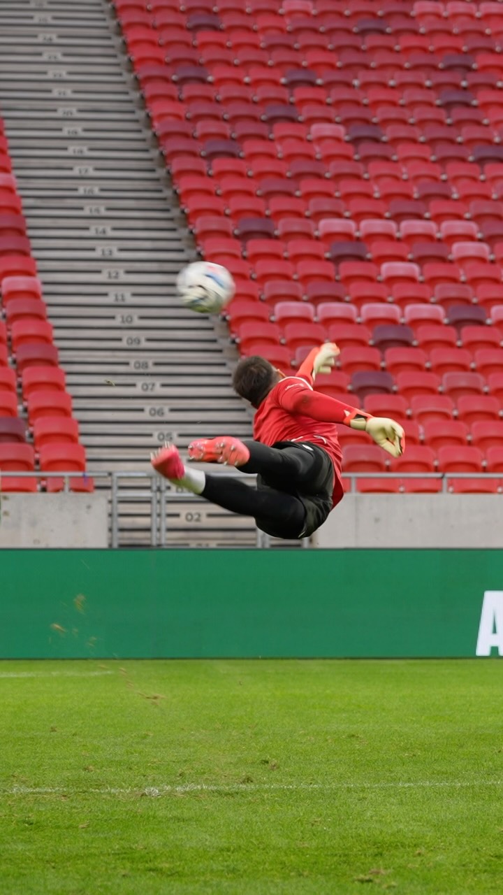 @gmamardashvili25 🧤🔒